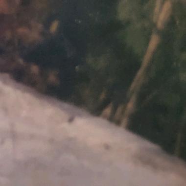 这个世界上最浅薄关系就是，你没有随他的意