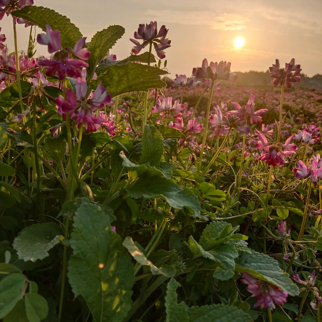 海边听ᵏᵃʳʳʸ