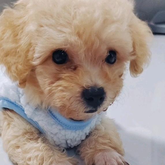 哆哆🧸