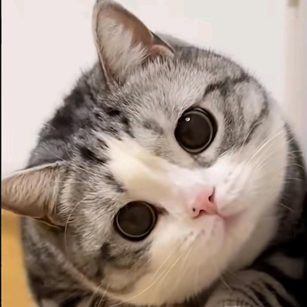 蓝天白云