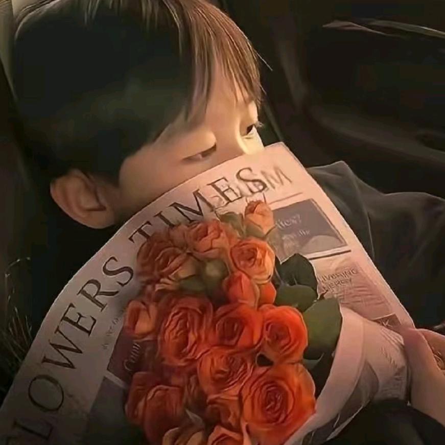 Liu   SiR