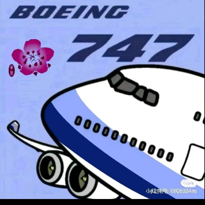 一架飞往香港空中解体的华航611