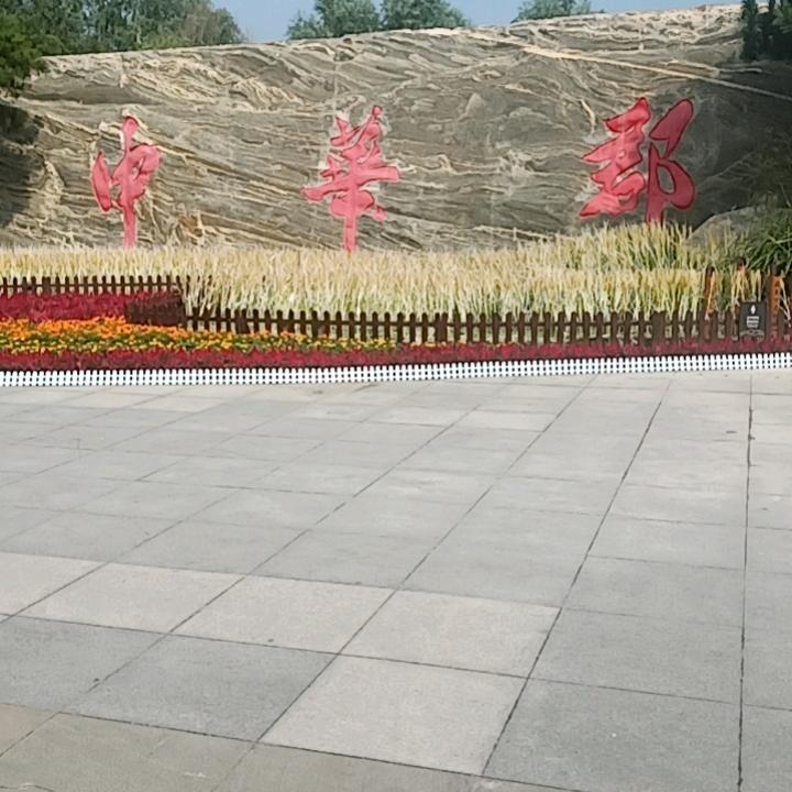 简单的活着