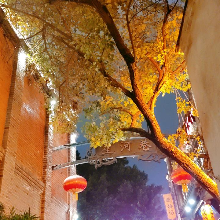 丽丽娜