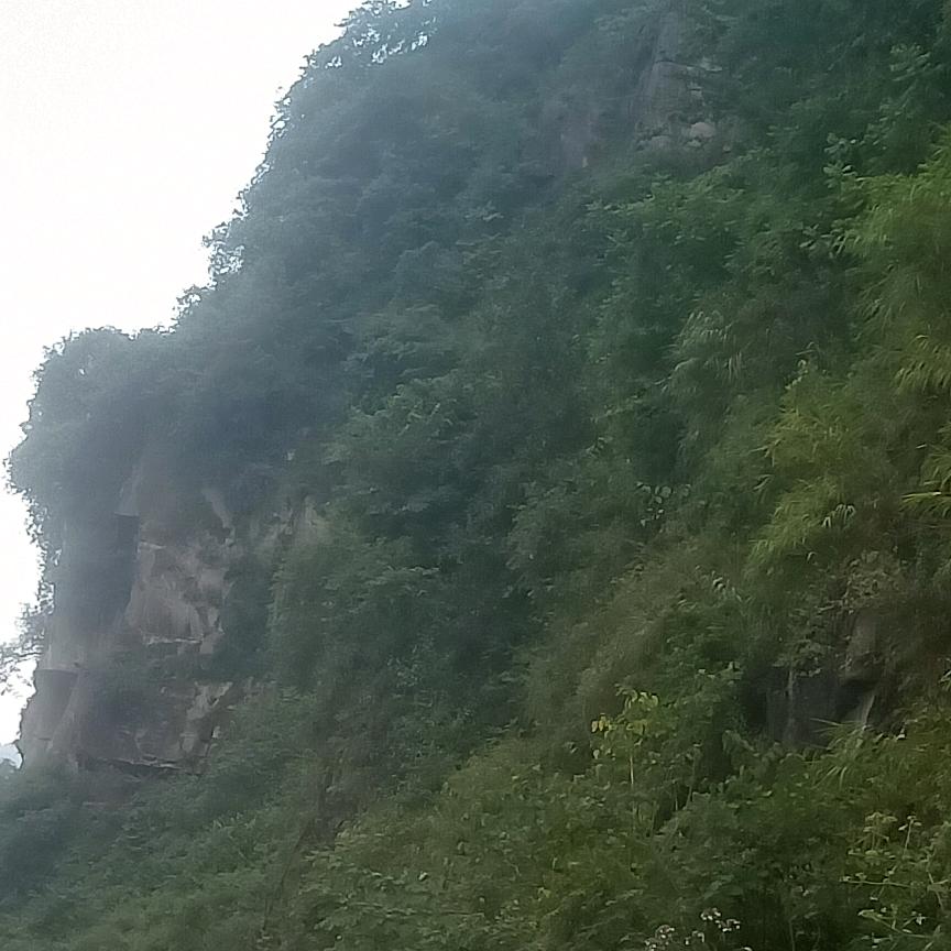 下一站黄昏