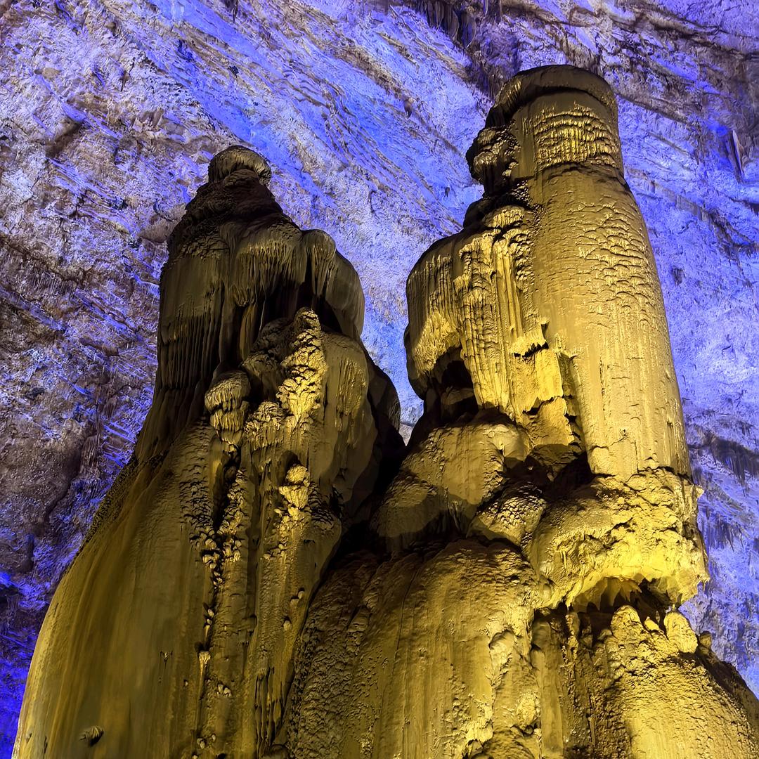 草药味儿の岁月