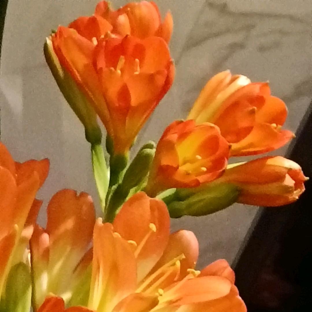 默念老师聊康养