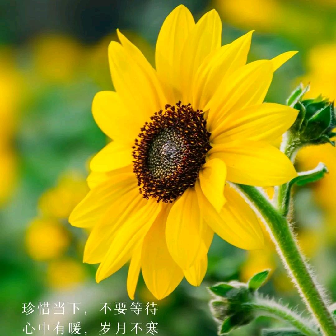 余生很贵，微笑面对