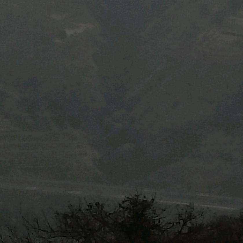 五污
