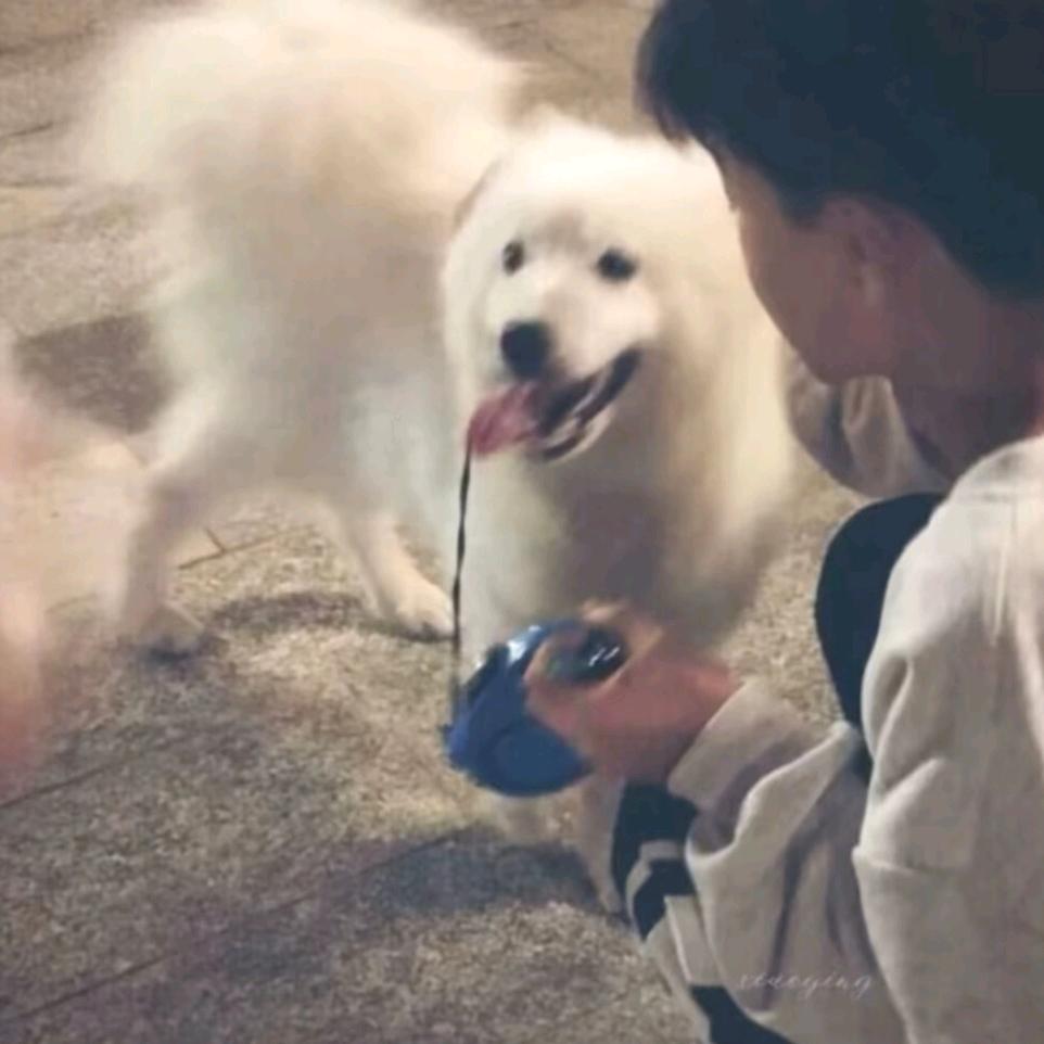 别动我飞机头啊