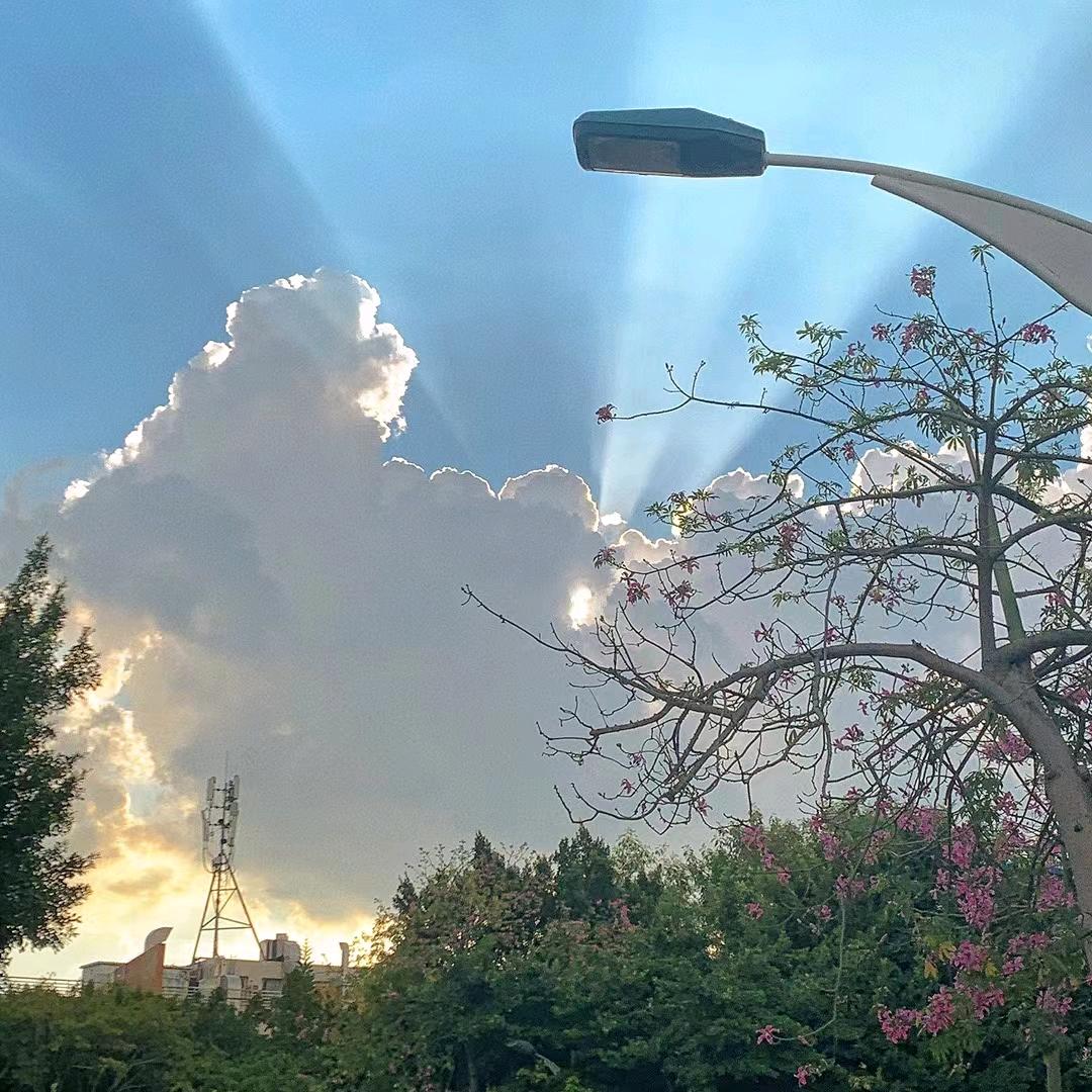 青鸟（努力拼搏）