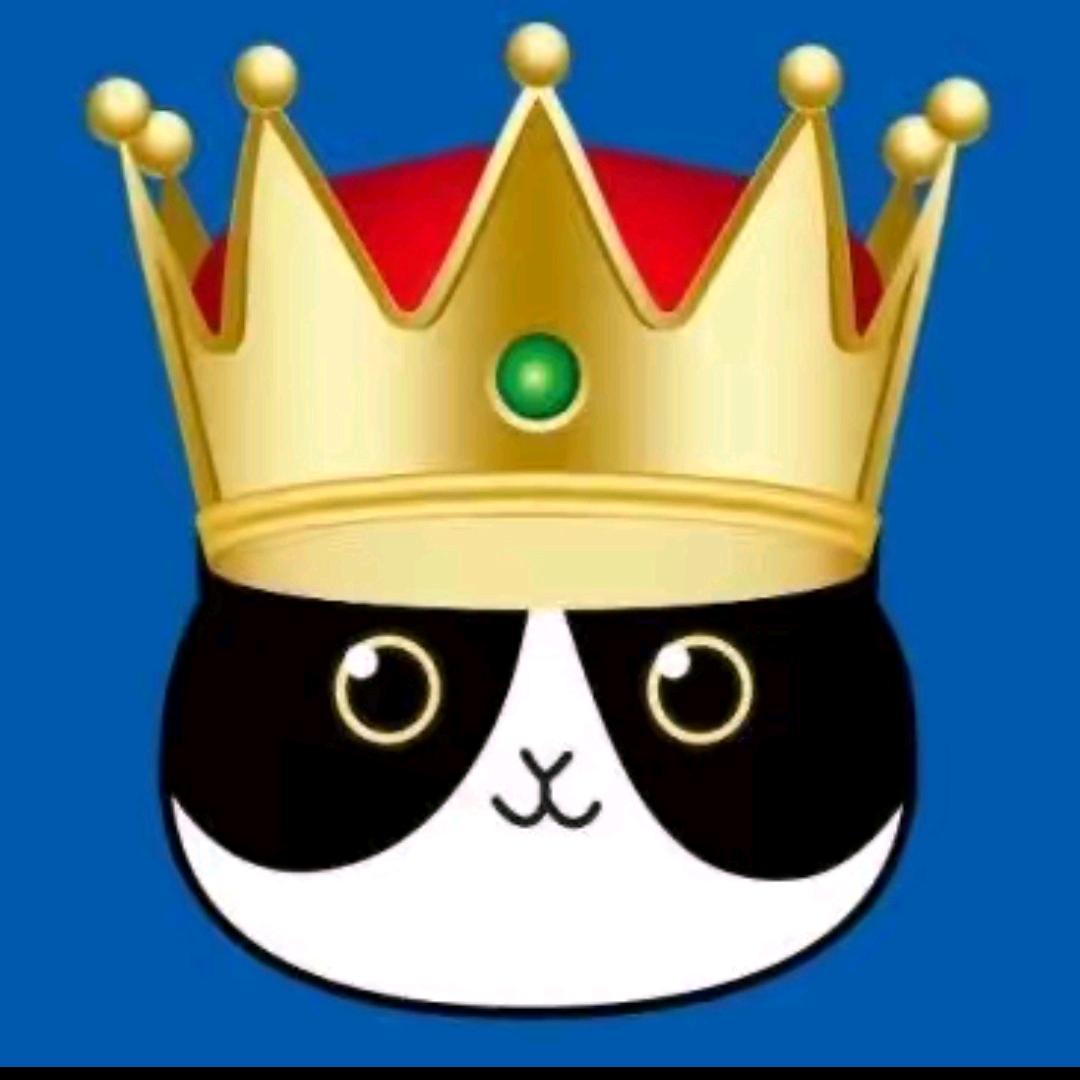 富顺捷猫二手手机