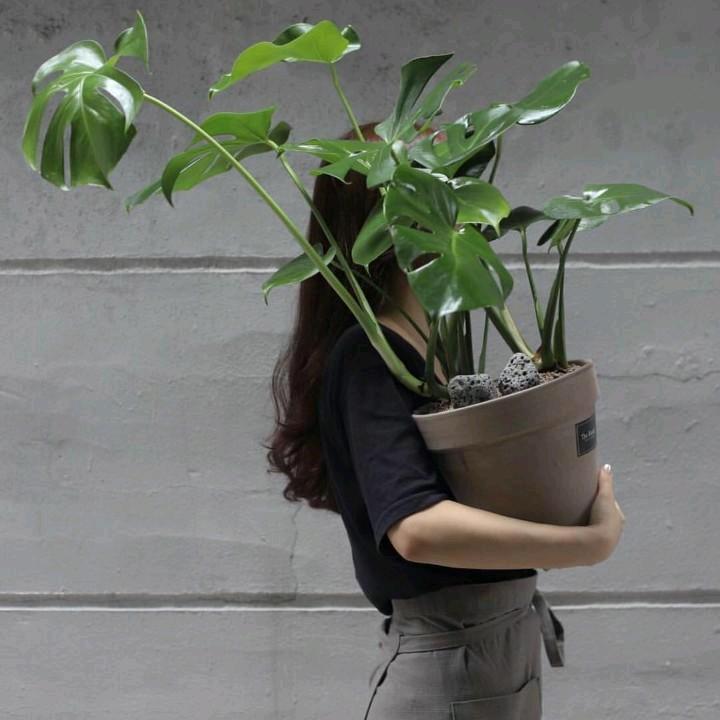文根英🍊