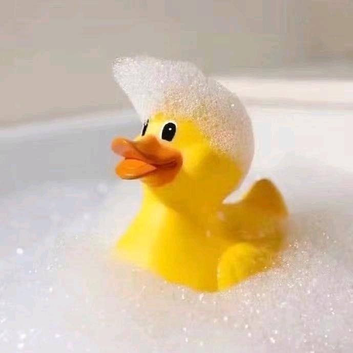 爱骑车的小黄鸭