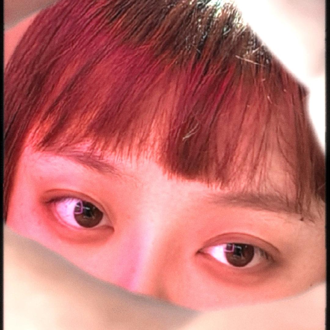 一只三三