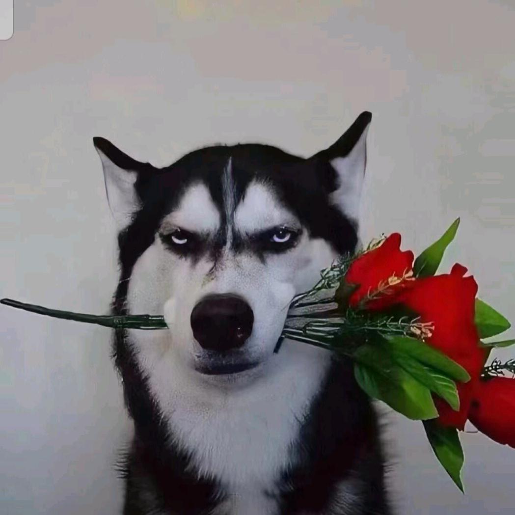 归落于海