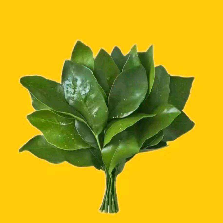嘻 嘻