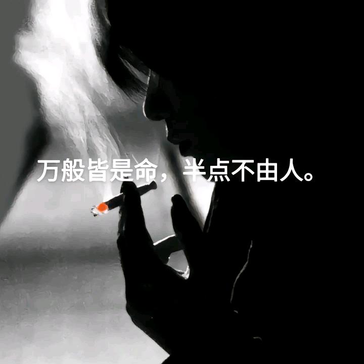 夜猫子也有烦恼头像