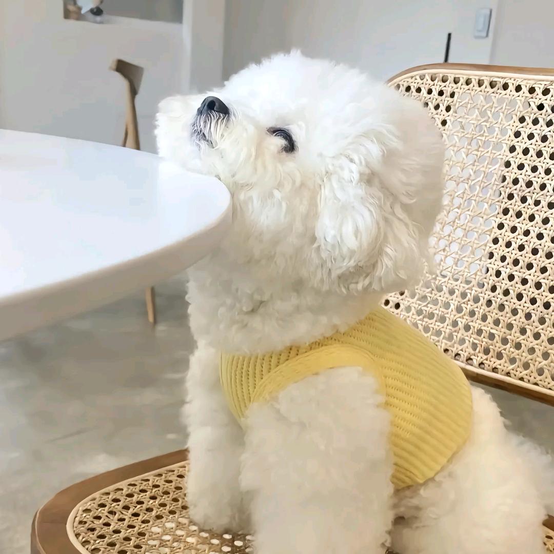 🐾