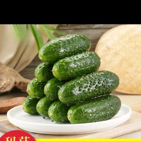 小黑