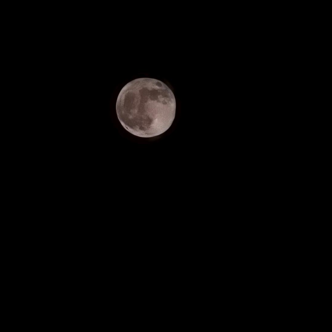 23667019760