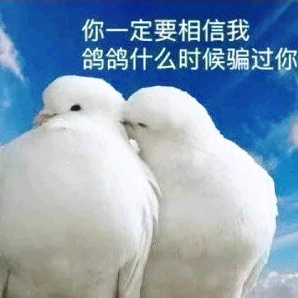 东东电竞考官沐云(三角洲行动)