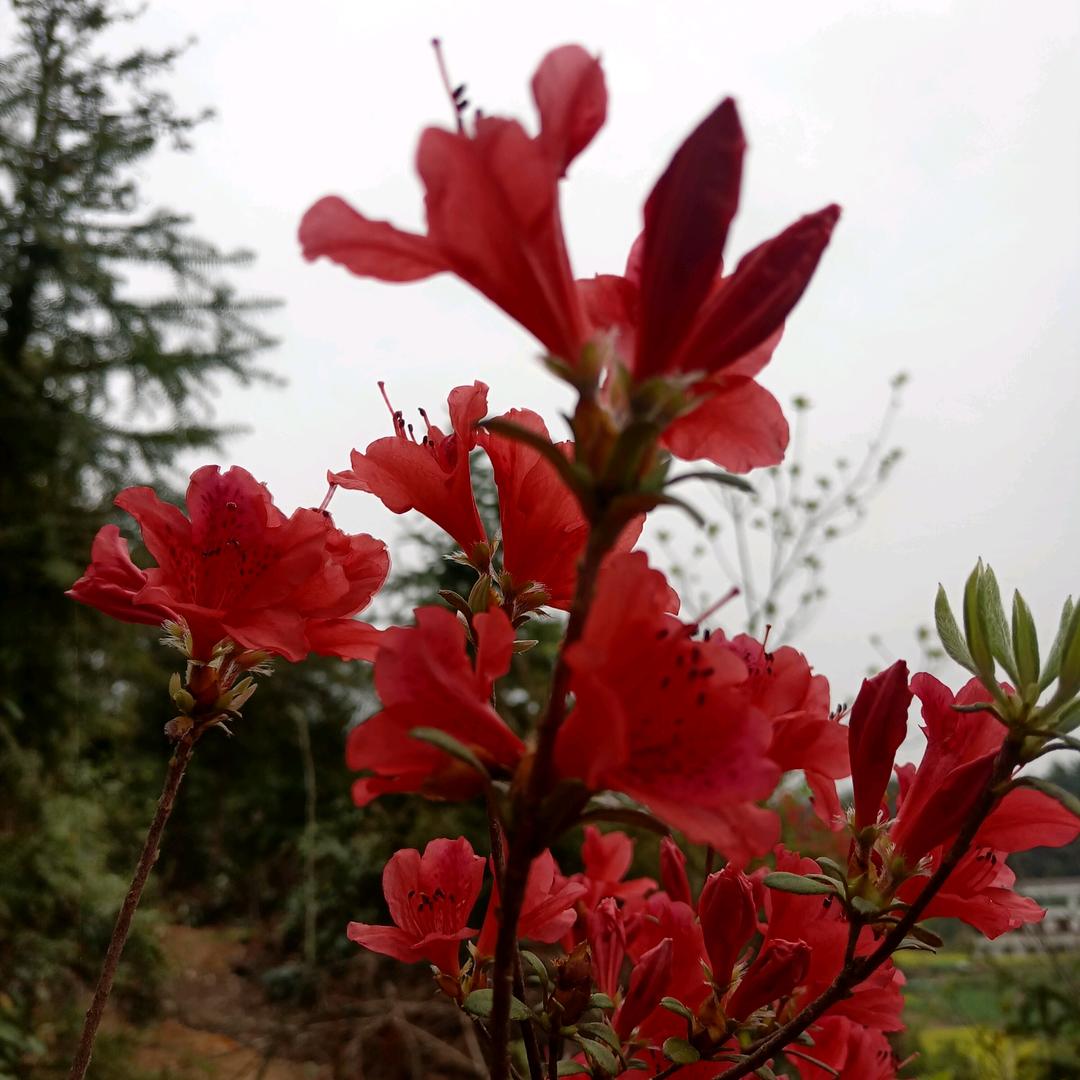 宝剑锋从磨砺出ABC