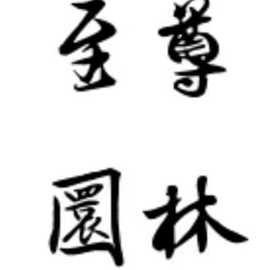 至尊园林三角梅盆景老桩