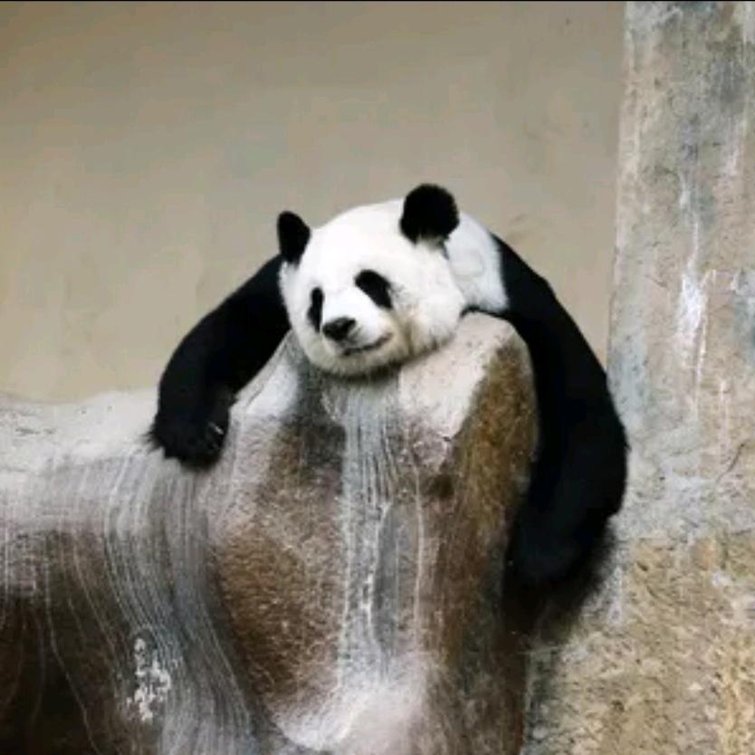 。！。