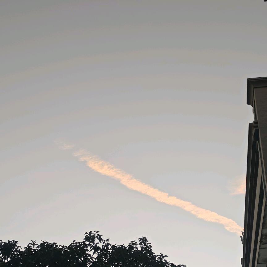 桂花载酒少年游