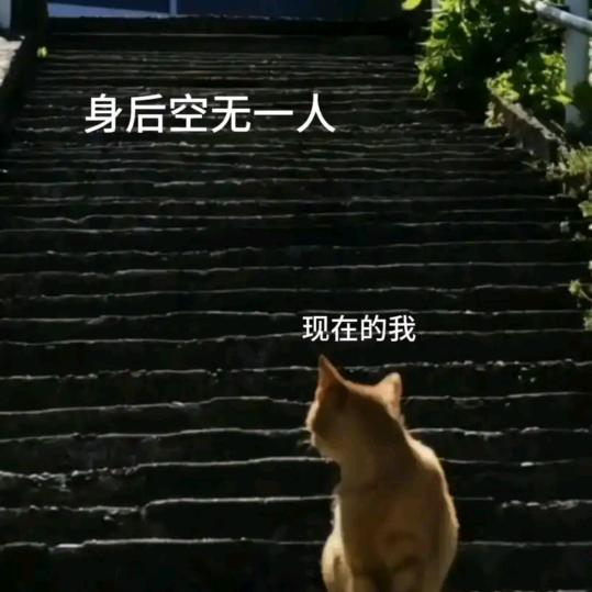 水