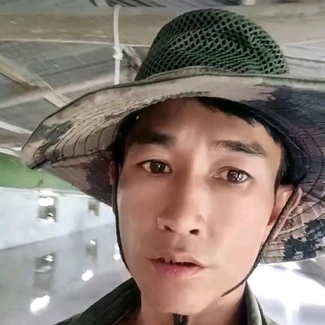 鲍哥(橱窗有好物)