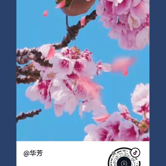 开心老大哥