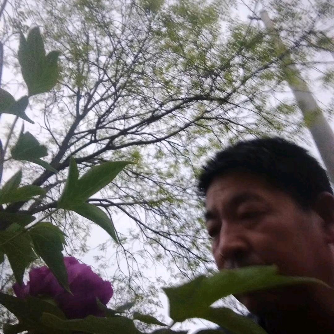 勇往直前
