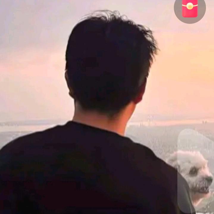 快乐山猫