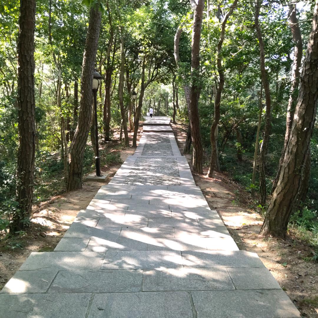榴莲