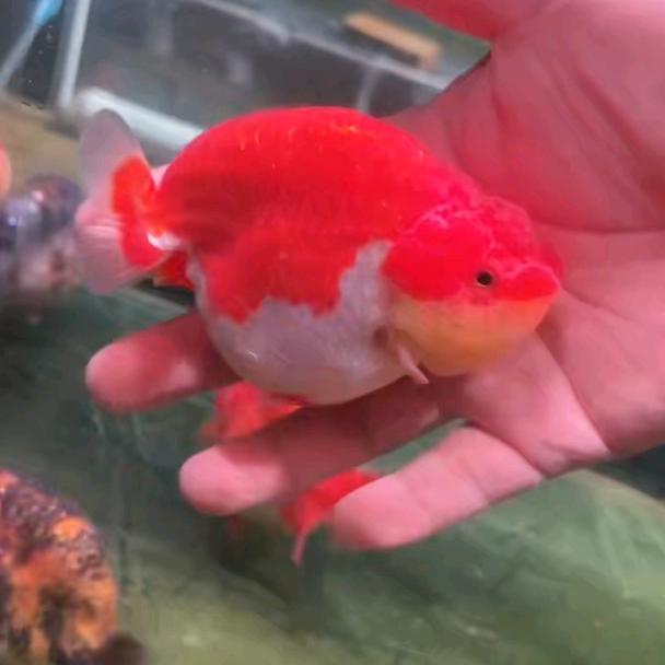 此账号已注销