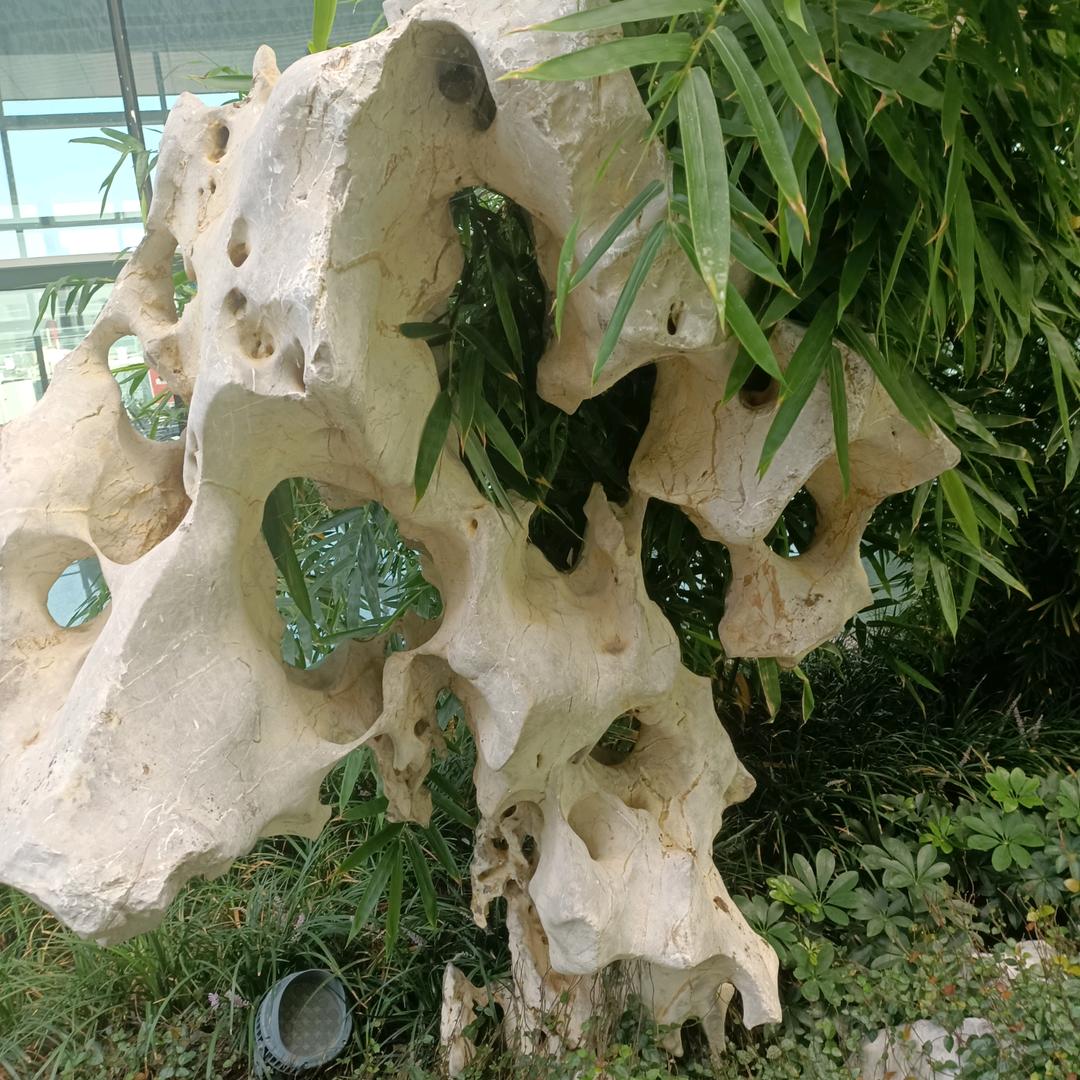 我有酒！你有故事