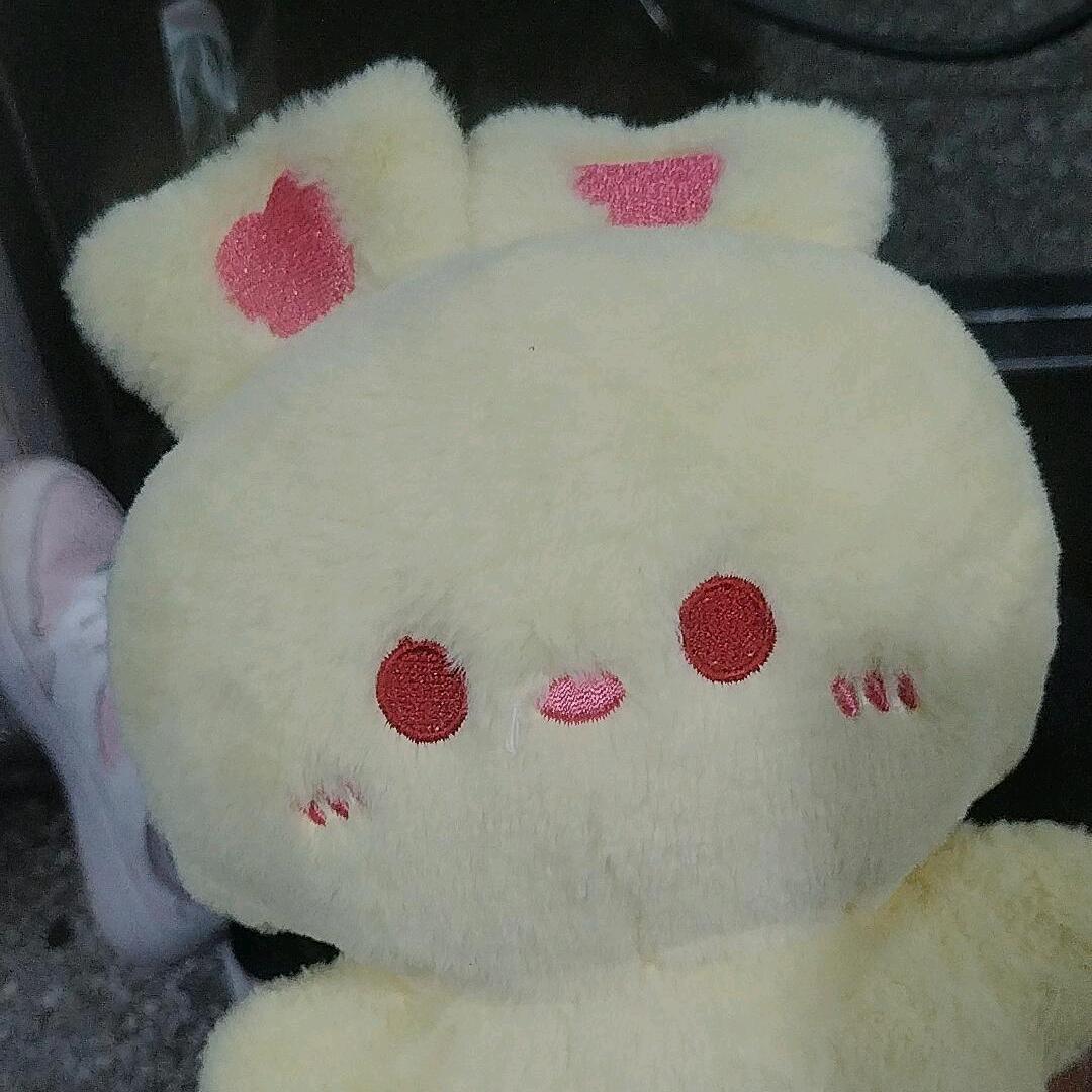 王四妹