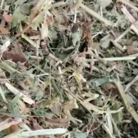 苗青牛羊草料