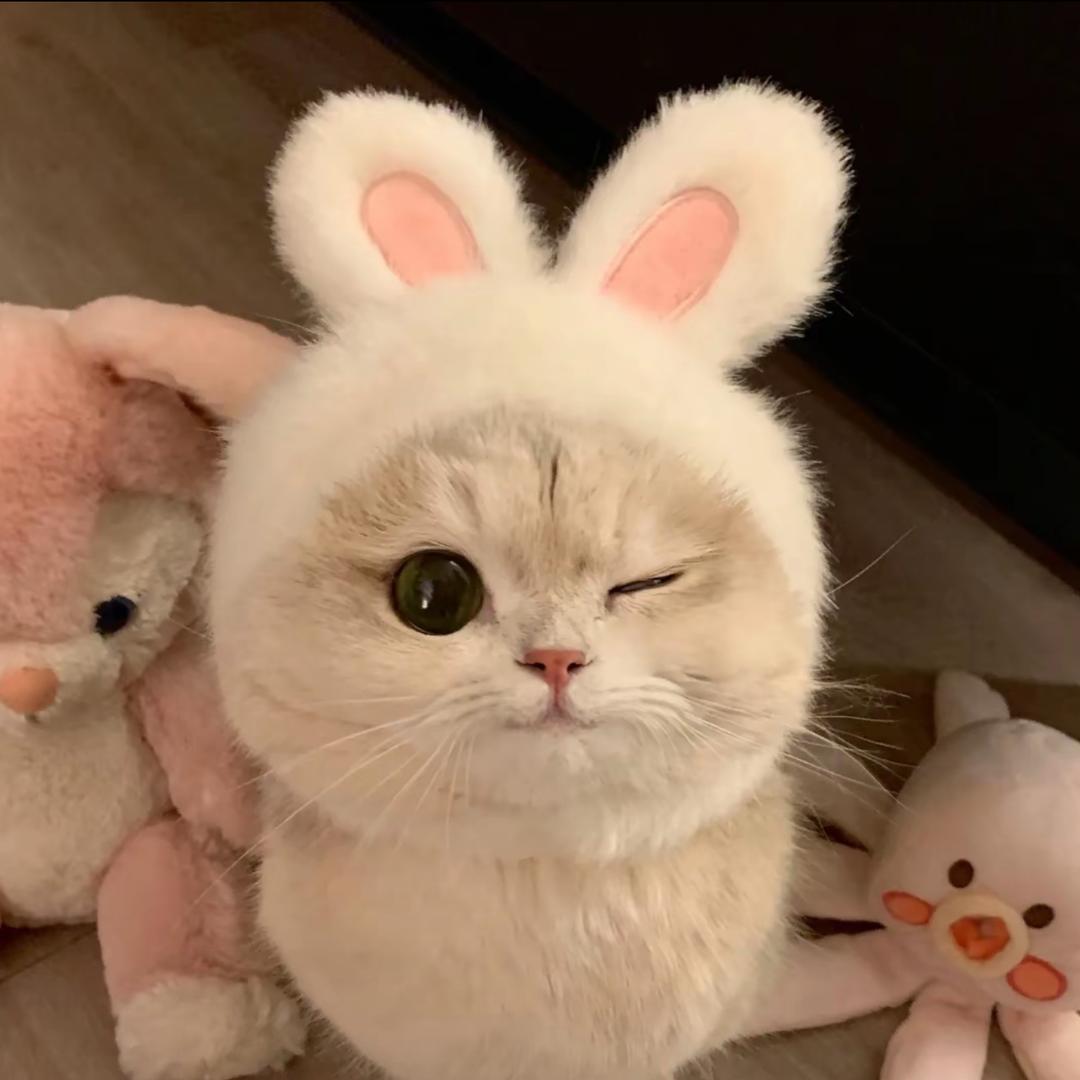 似.