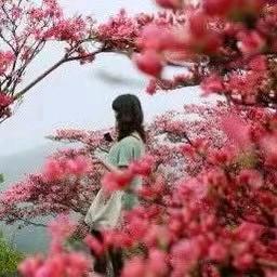 萍萍🌹🌹