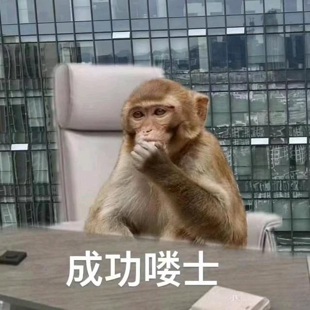🌈贵州吗喽