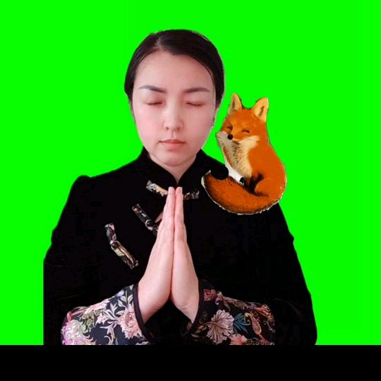 仙九悟道