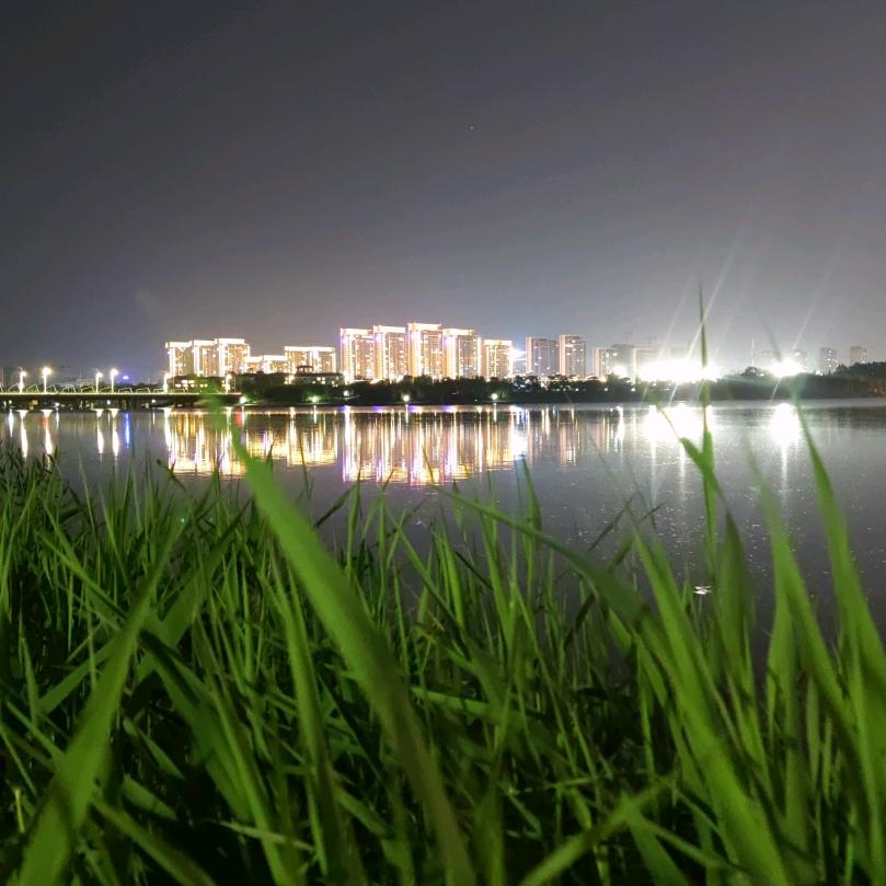 ꧁༺ཌ༈独领༈ད༻꧂