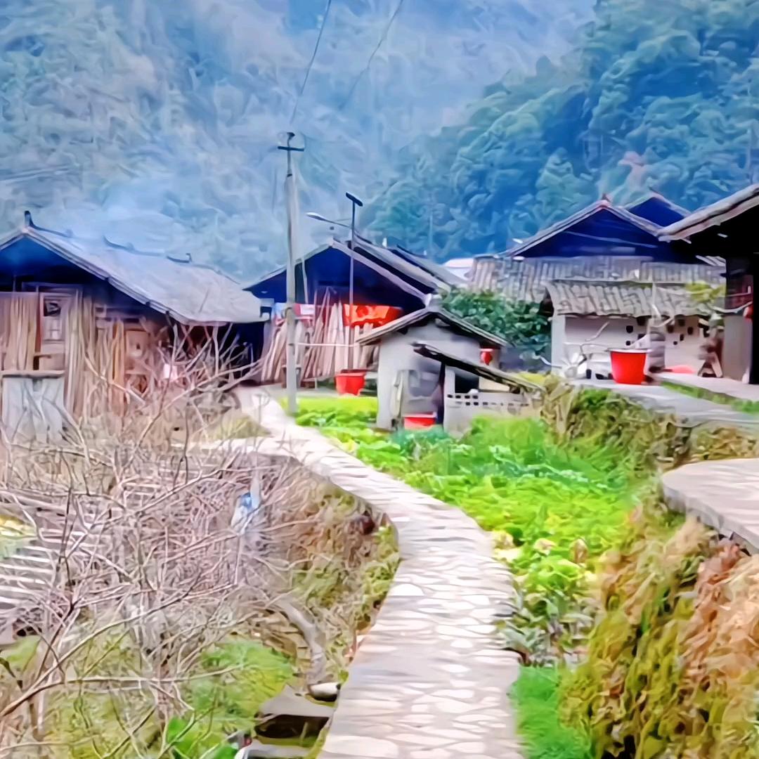 琴姐百货优选