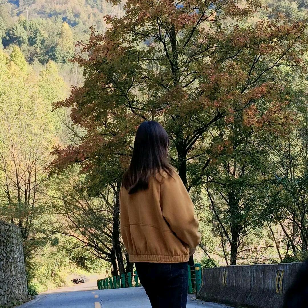 藤@曦