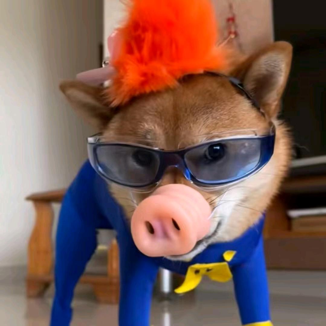 游手好闲的华大人