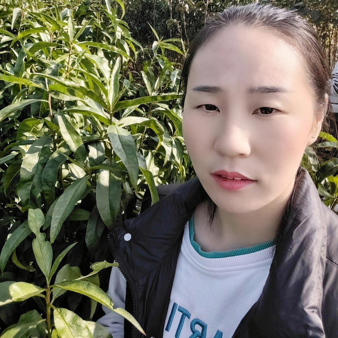 蒙阴裕果苗木小张