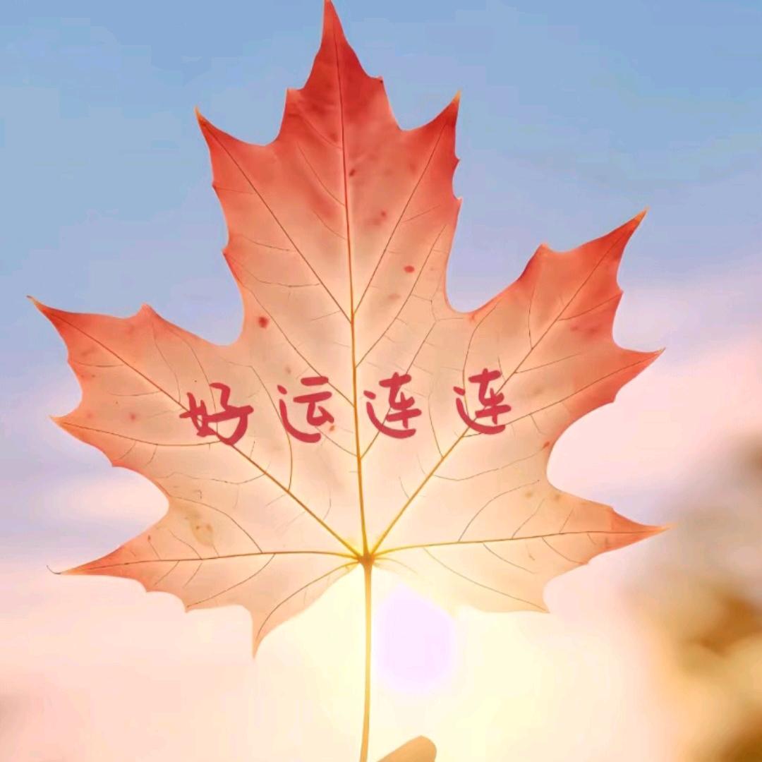 助理&分享